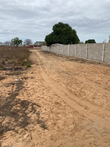 Venda Terreno de 1 Hectare