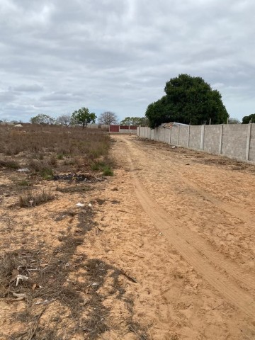 Venda Terreno de 1 Hectare
