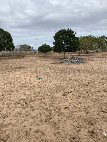Venda Terreno de 1 Hectare