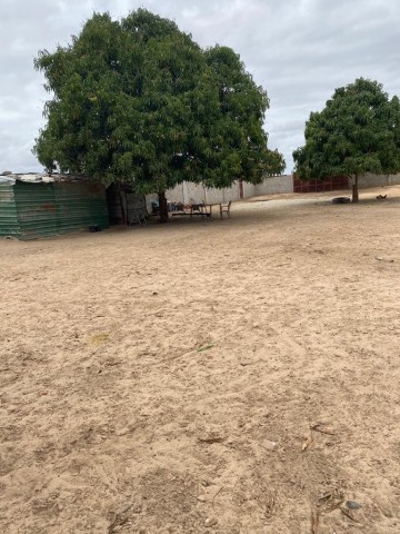Venda Terreno de 1 Hectare