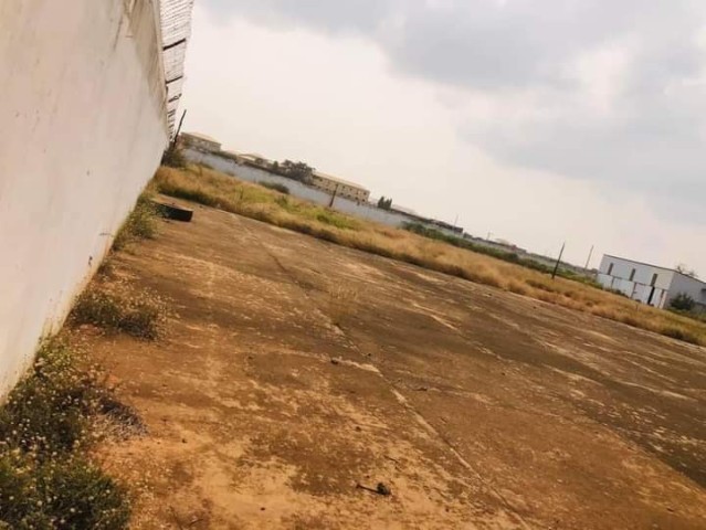 Venda Terreno de 1 Hectar