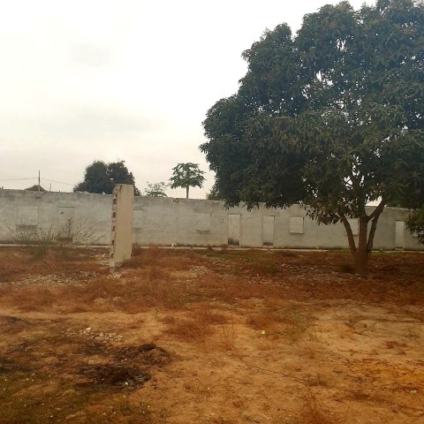 Venda VENDE-SE TERRENO DE 3.7 HECTARES DISTRITO URBANO DO VILA FLOR