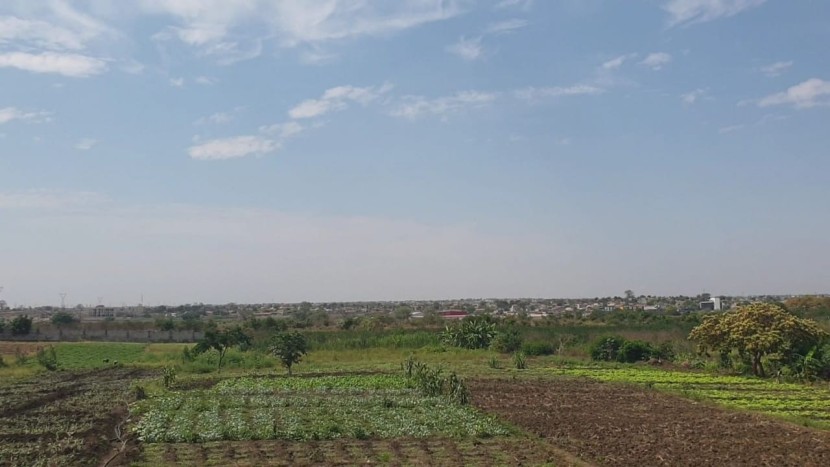 Venda VENDE-SE TERRENO DE BEIRA ESTRADA DE 8 HECTARES VIA EXPRESSA