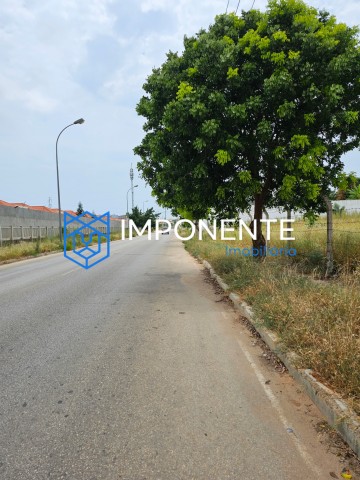 Venda LOTES DE TERRENOS EM TALATONA