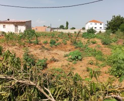A venda TERRENO 20/30 ZONA VERDE RUA 24