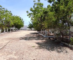 A venda Fazenda 2 Hectares à Venda Zona Segura Investimento Rural