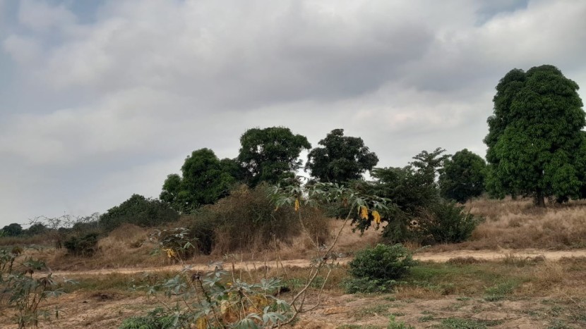 Venda Terreno de 1 hectare no KM36 arredores do novo aeroporto internacional de Angola