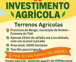 A venda Vende-se terrenos agrícolas próximo do Rio, cada hectare 150mil KZ, ve...