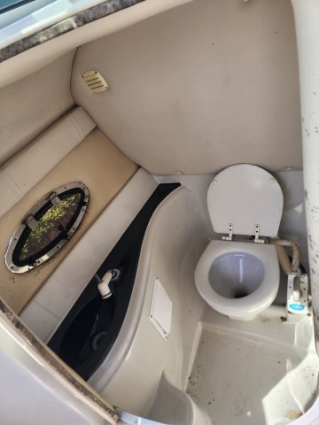 Venda Barco Crownline Elegância, Potência e Conforto sobre a Água