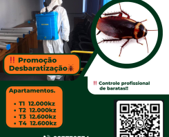 A venda Desbaratização